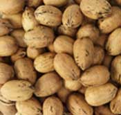 [Inshell Pecans]