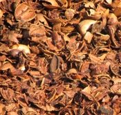 [Pecan Mulch]